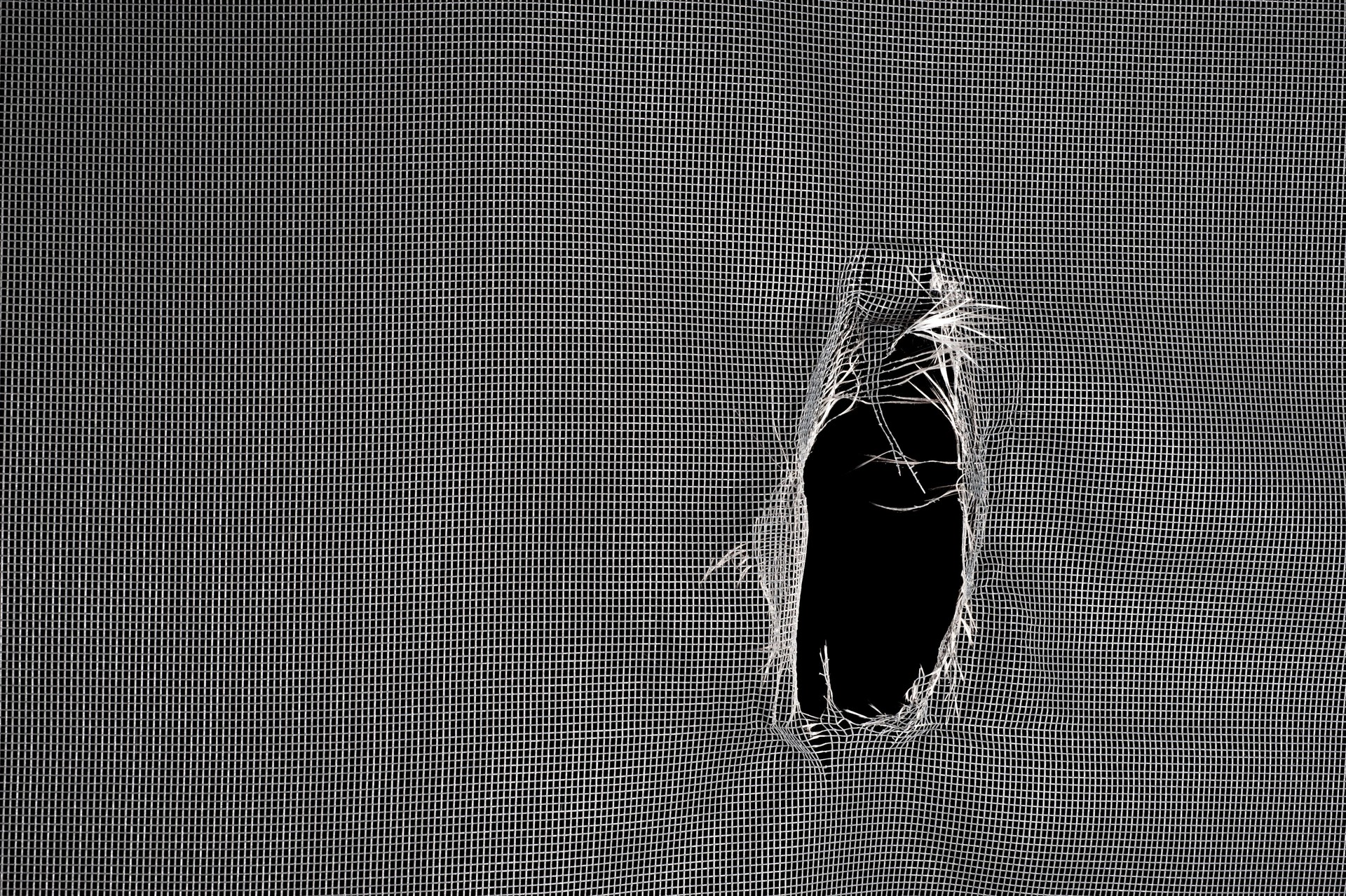 Torn window screen